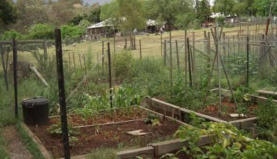 Collingwood Children’s Farm