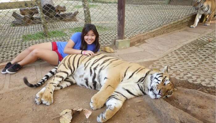 New York State has banned posing with any big Cat