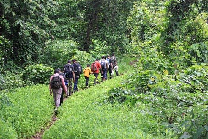 People walking on the nature trail of Sanjay Gandhi National Park – A fun place in Mumbai amidst the wilderness