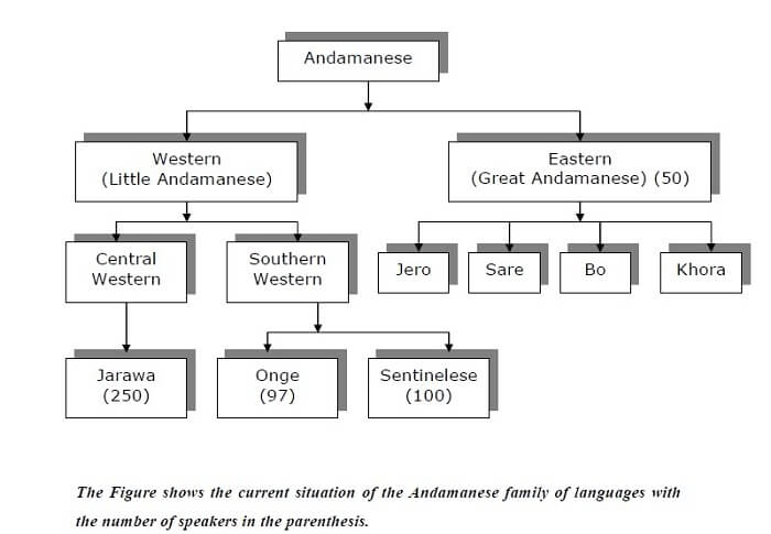Current situation of the Andamanese family of languages