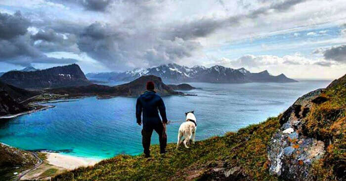 Dog on a vacation with a guy