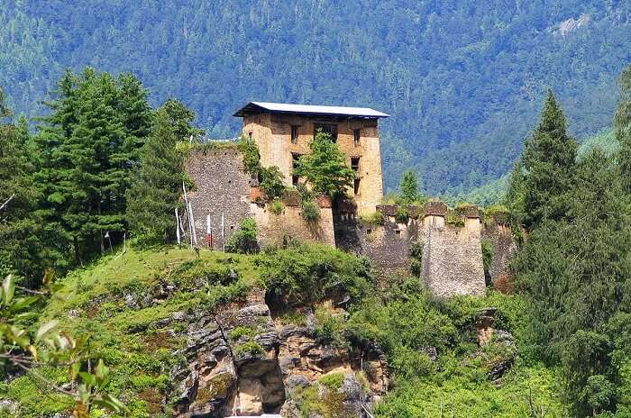 Drukgyel Dzong, Paro