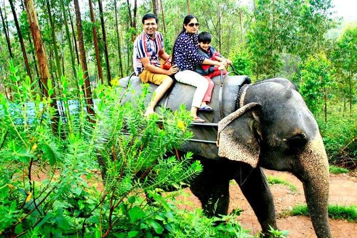 Vinit enjoys an elephant ride with family in Munnar