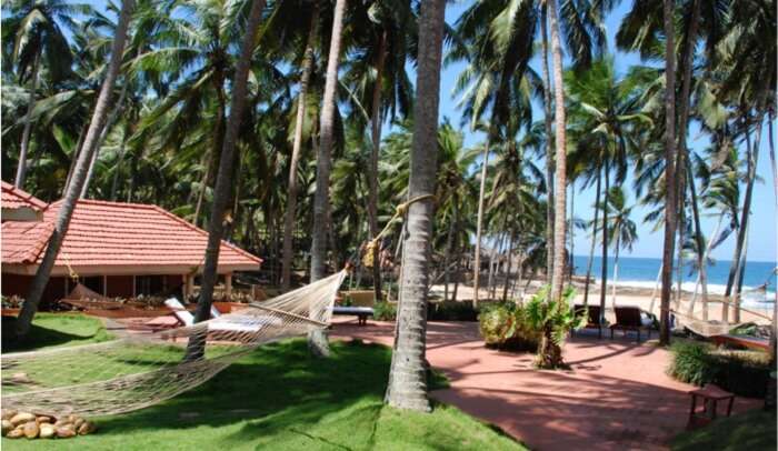 The serenity at the vast lands of Coconut Bay Beach Resort, Kovalam is an amazing experience to cherish
