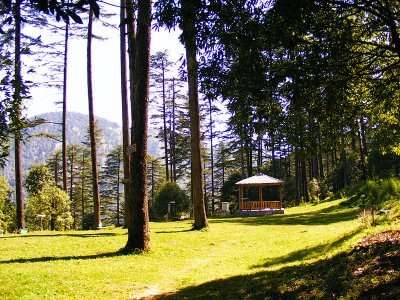 Dhanaulti- places to visit in Uttarakhand