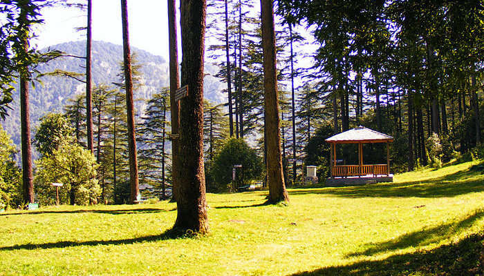 Dhanaulti- places to visit in Uttarakhand