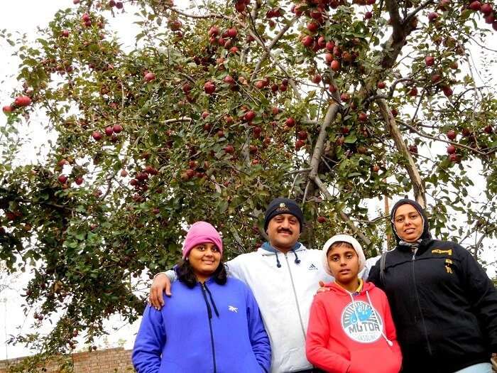 Sharad and his family in the apple meadows of Kashmir