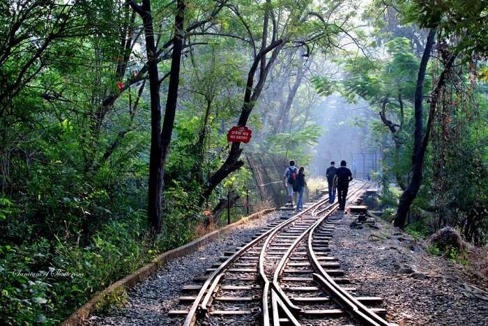 Visit Sanjay Gandhi National Park To Breathe In Fresh Air