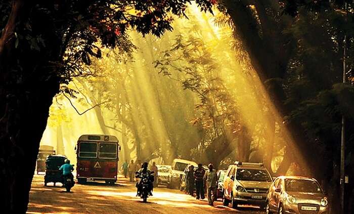 Sun passes through the road and hits the haunted street at Aarey Milk Colony