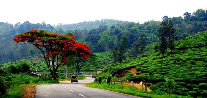 The tranquility of the best tourist place in Thekkady