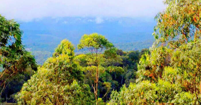 A snap from the Kerala trip that Saumil went on with his family