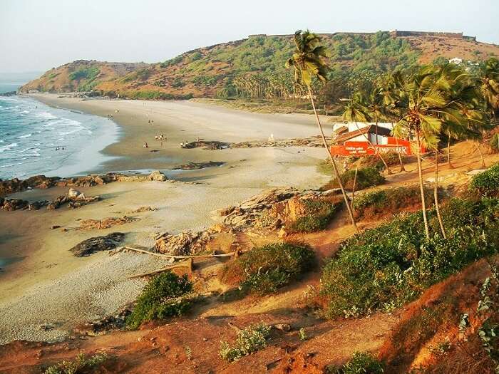 overview of vagator beach, one of the best places to visit in North Goa