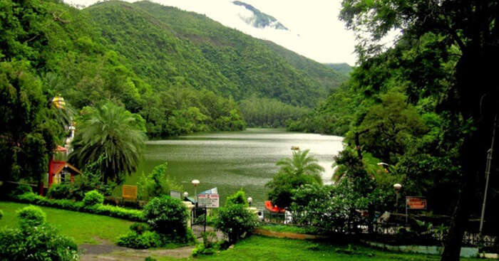 Lush greenery can be seen on a weekend getaway to Renuka Lake