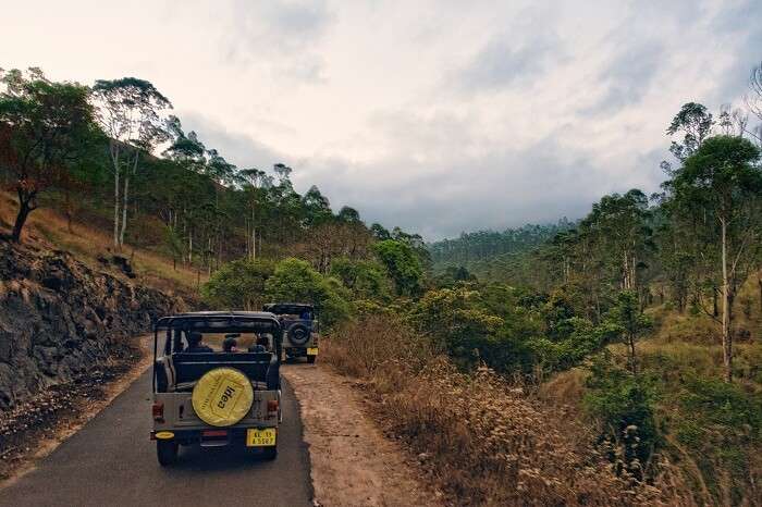 An early morning snap of a Jeep Safari in Thekkady