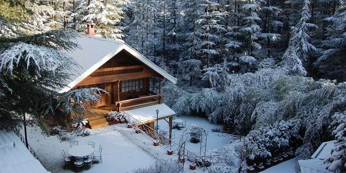 A picture of one of the stay options at the snow-clad city of Naldehra
