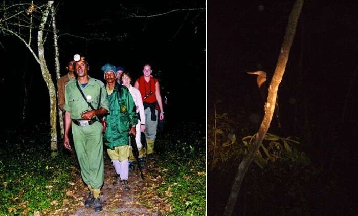 Patrollers on the night patrol inside the Periyar Tiger Reserve