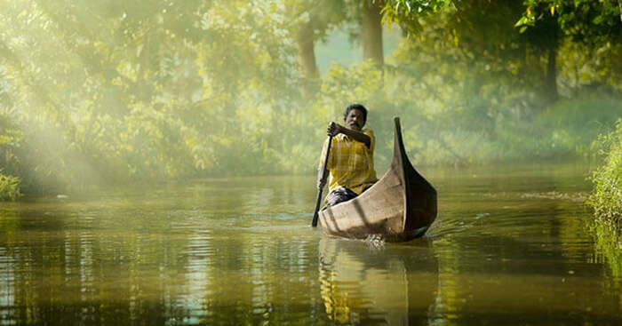 A many rowing a canoe on the backwaters of Alleppey