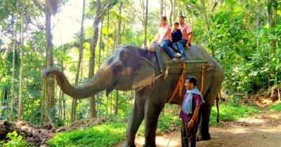 Pradeep takes an elephant safari with his family on a trip to Kerala
