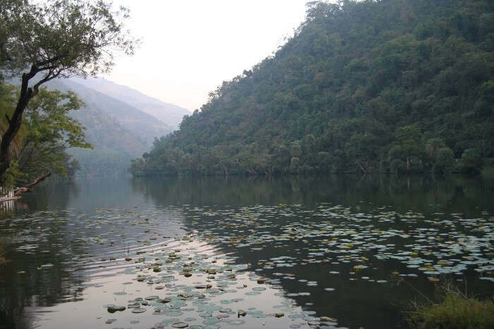 A shot of the serene Renuka Lake in Nahan