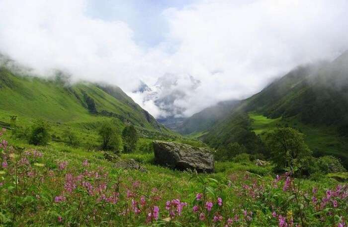 Trek To Valley Of Flowers A Must Have Experience For 2021