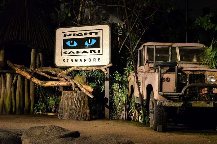 A jeep signifies the gist of everything about Singapore Night Safari
