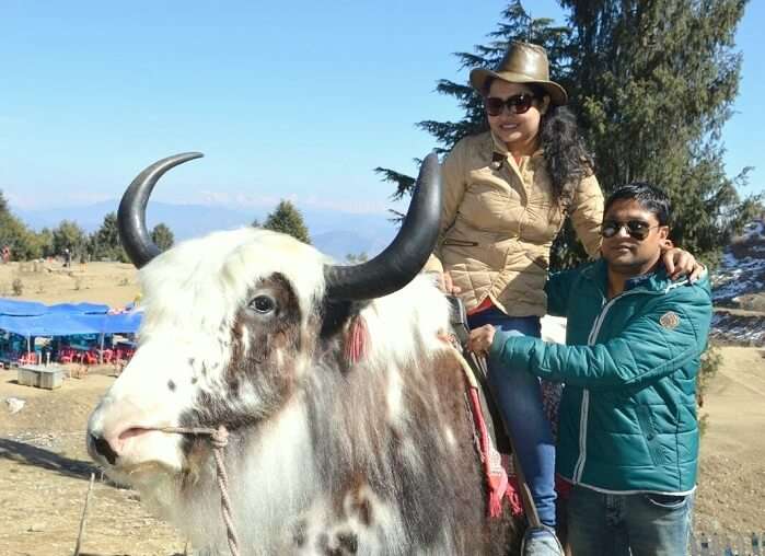 Madhumita on a yak in Manali