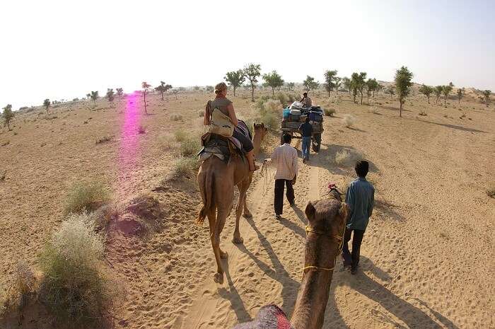 Tourists on a camel safari in the Thar Desert near Bikaner