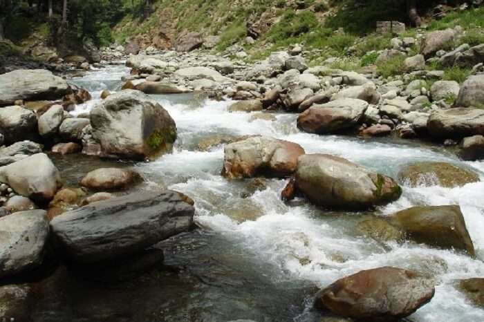 The gushing streams flowing through the Ferozepur Nallah