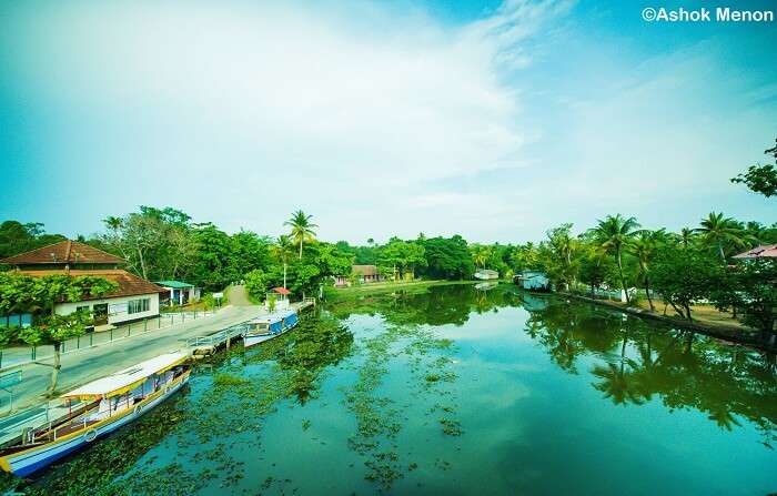 The lakeside paths for casual strolls around the Vembanad Lake