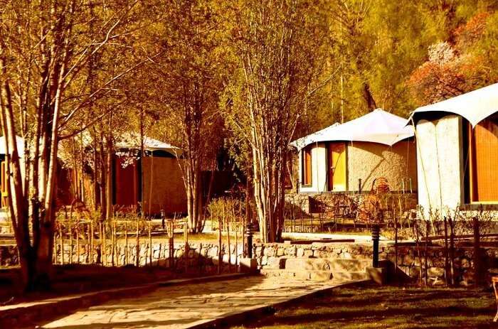 Beautiful cottages in Nubra Valley