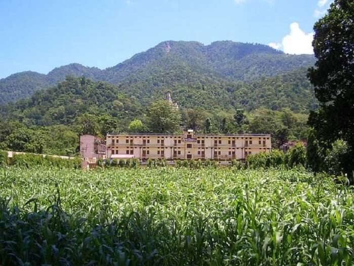 The green fields around Swarg Ashram are a scenic sight to behold.