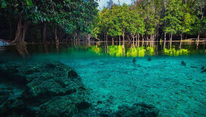Thung Teao Natural park