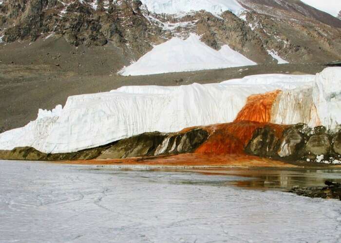 Have a view of red waters