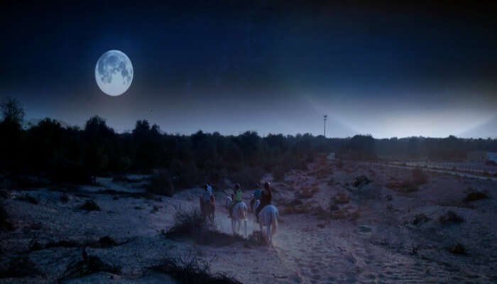 Full moon horse ride in Dubai 
