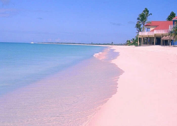 Amazing view of the pink sands