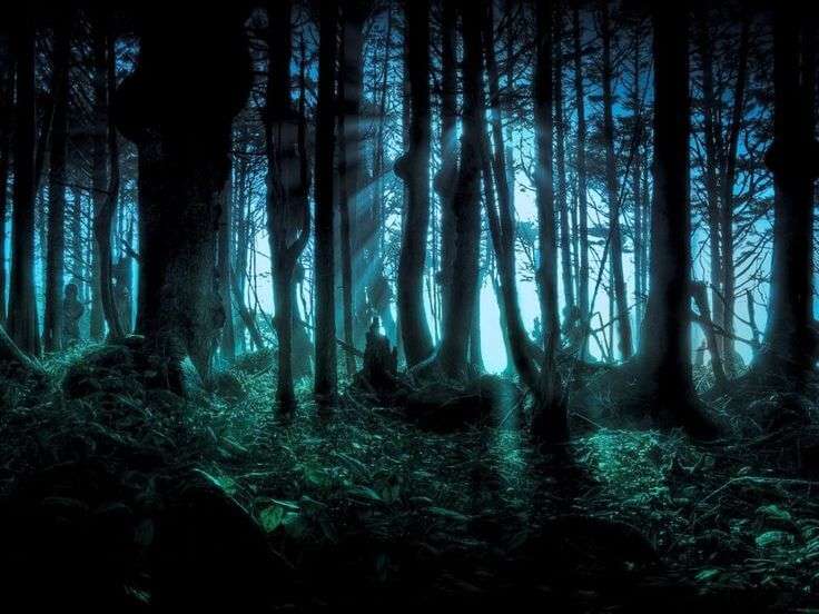 Darkness in Sherwood Forest