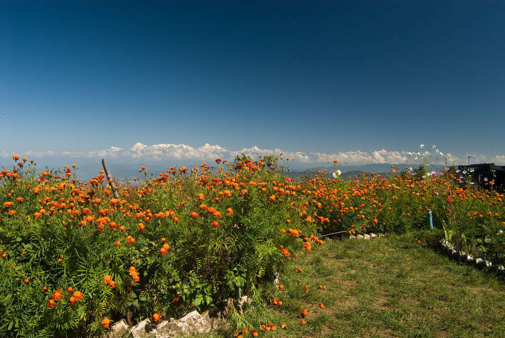 beautiful views of snow mountains in Mukteshwar