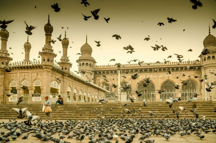 Men feeding pigeons in front of Mecca Masjid in Hyderabad