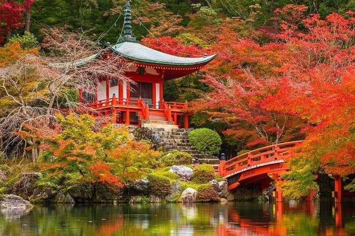 Daigo-ji temple with colorful maple trees in autumn in Kyoto