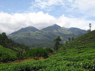 lush green mountains of Wayanad, one of the scenic places to visit in December in India