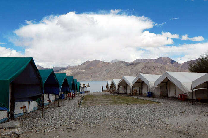 Wonderland Camp overlooking the Pangong lake in Leh