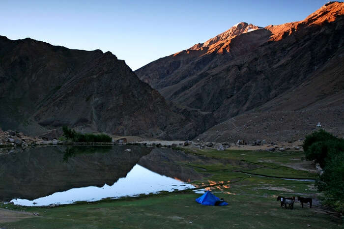 A campsite in Reru village in Zanskar Valley