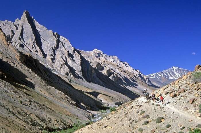 Trekkers walking the Zanskar Trek trails
