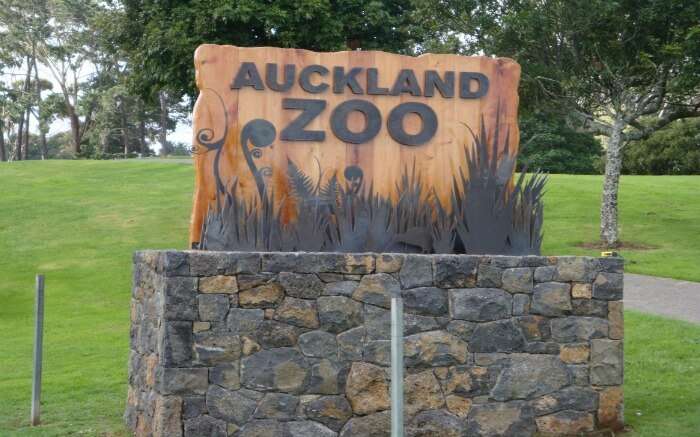Auckland Zoo signboard 