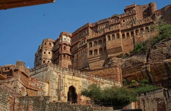 The Jazzy Jodhpur