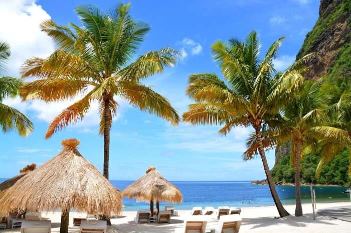 Exotic beach at St. Lucia