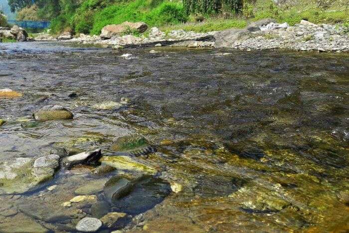 the Khoh river gurgling and burbling over pebbles and rocks