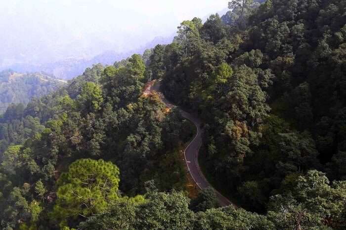 winding roads of hills that we drove on
