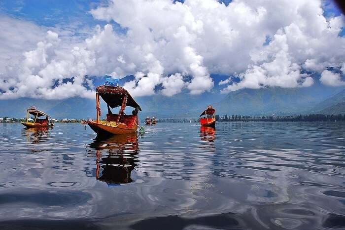 Shikara ride in the Dal Lake of Srinagar