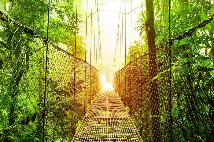 The Arenal Hanging Bridge in the ecological reserve in Costa Rica
